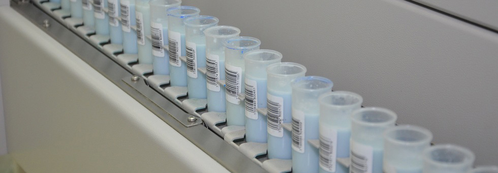 Седми слајдер