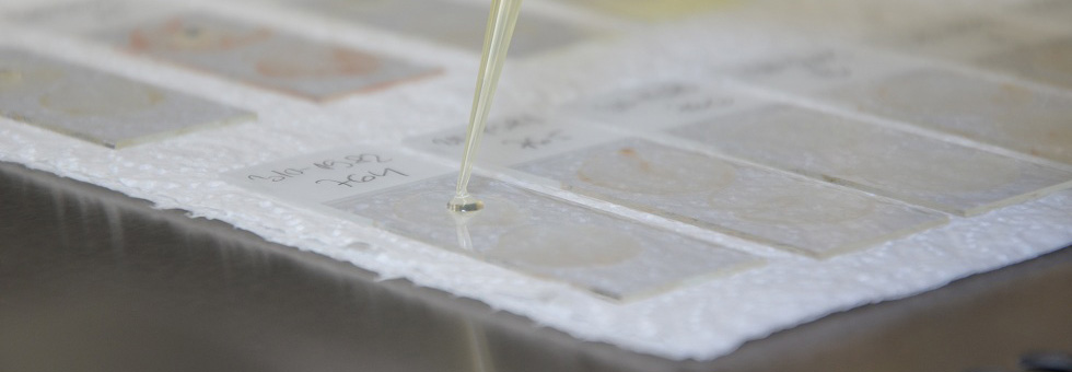 Трећи слајдер