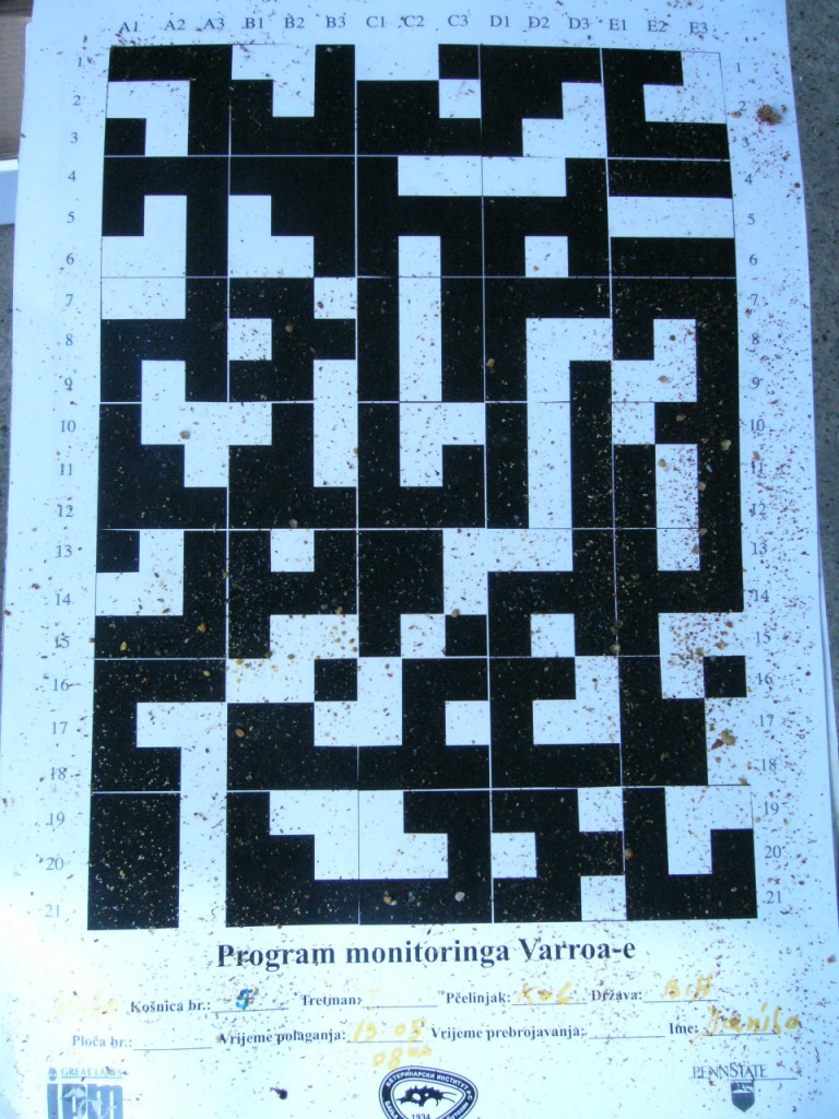 Посебно дизајнирана мапа за бројање дневног пада варое